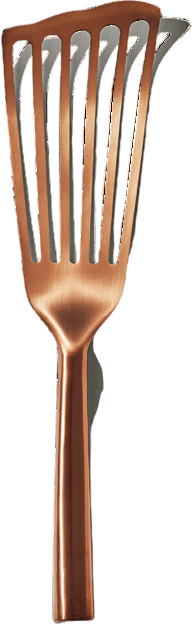 The Fish Spatula