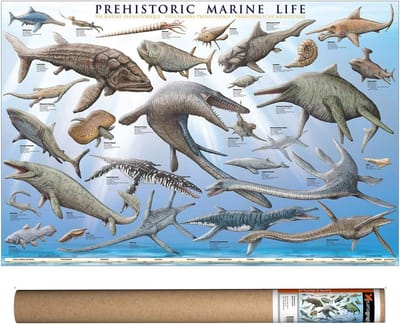 EuroGraphics Prehistoric Marine Life Poster