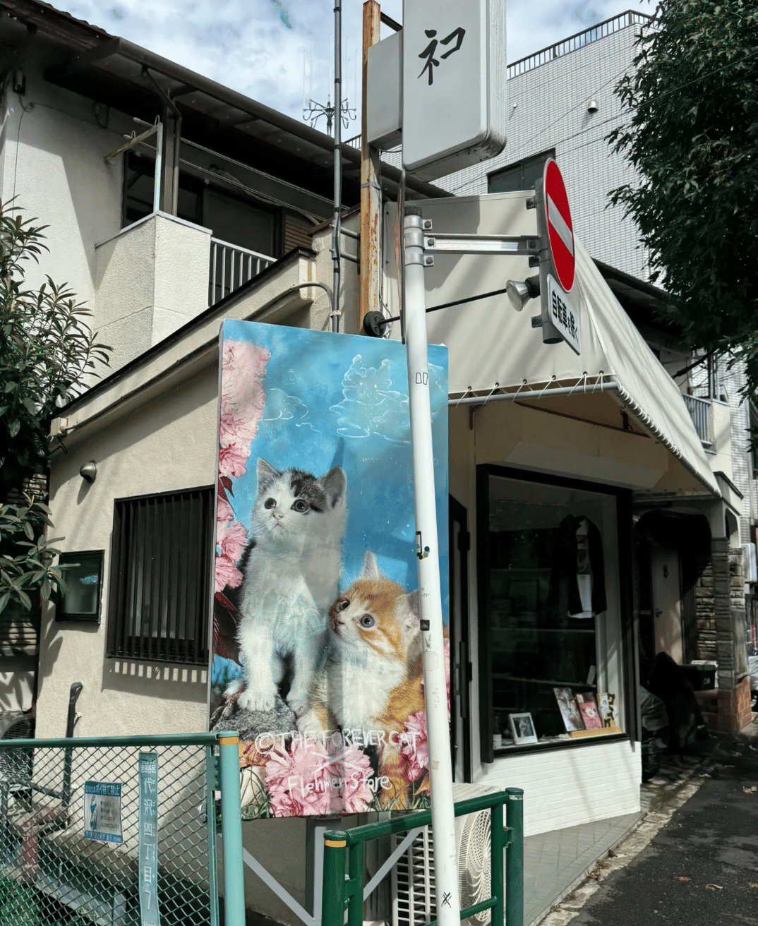 Flehmen Store (cat store in Tokyo!)