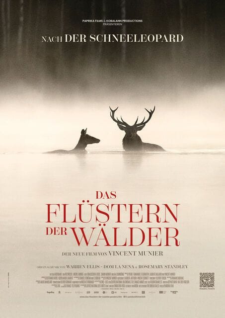 Filmladen Filmverleih GmbH