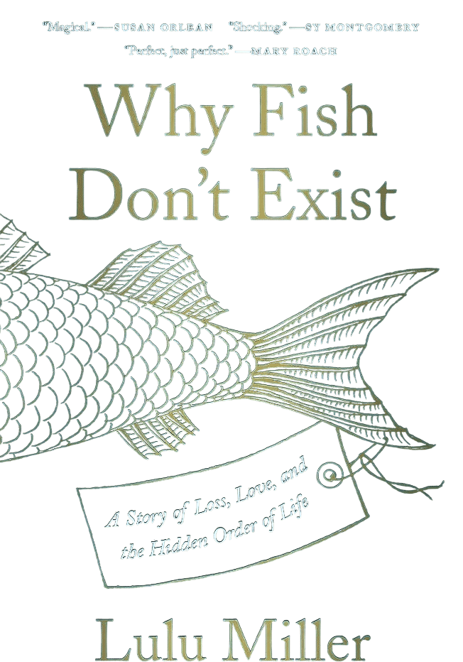 why fish don’t exist