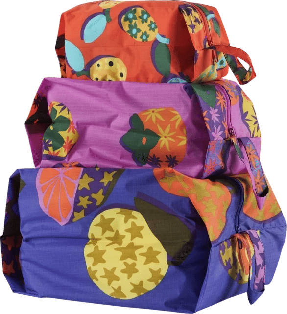 Baggu 3D Zip Set