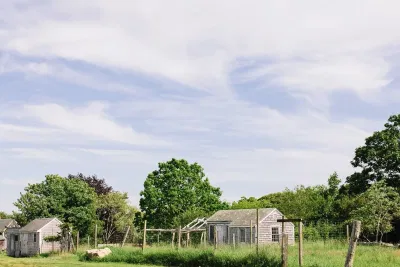 Beetlebung Farm