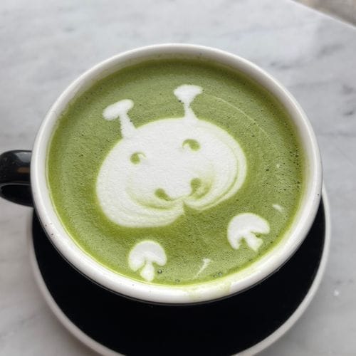 kitty logo