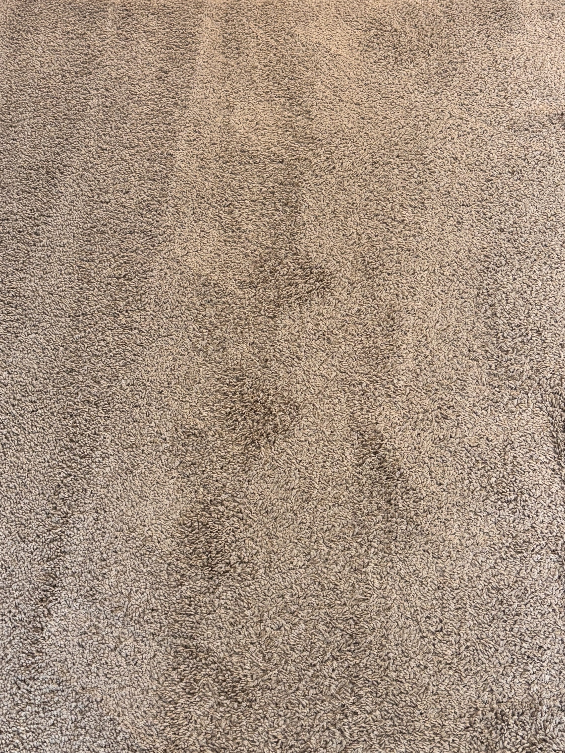 Having vacuumed
