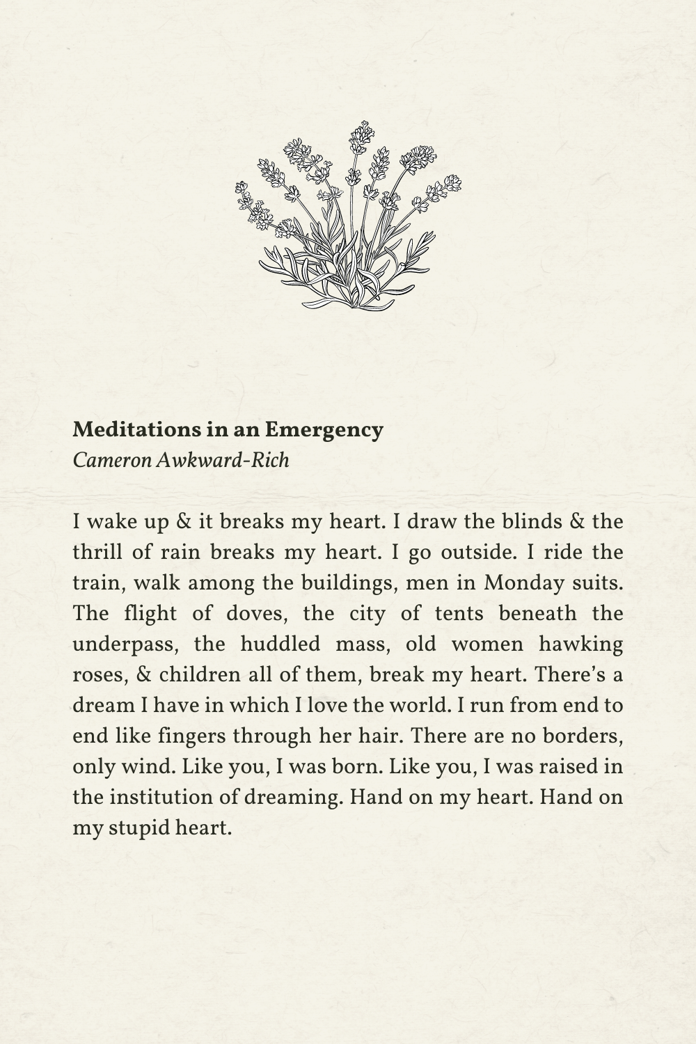 Meditations in an Emergency