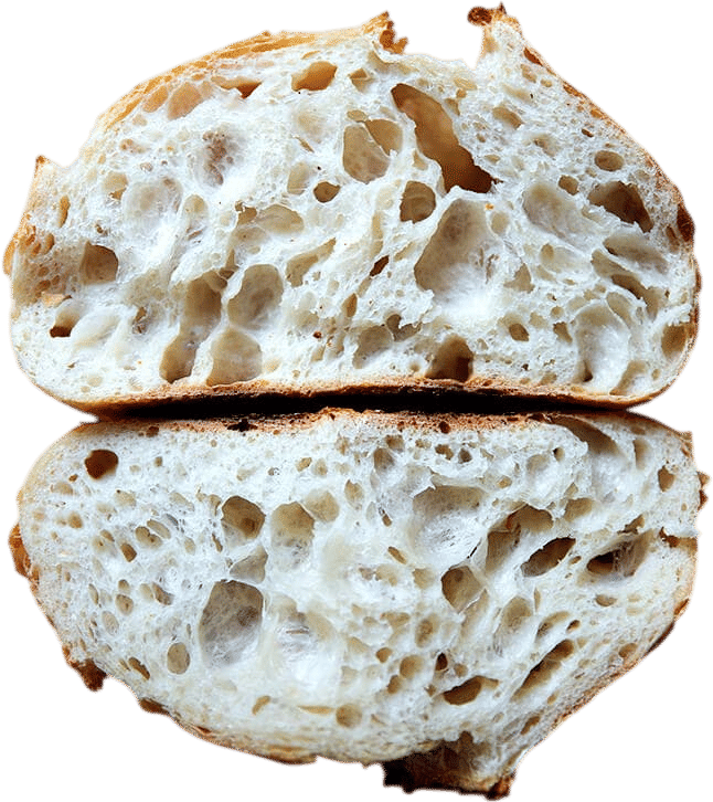 Sourdough