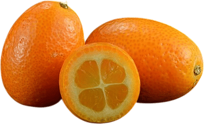 Kumquat