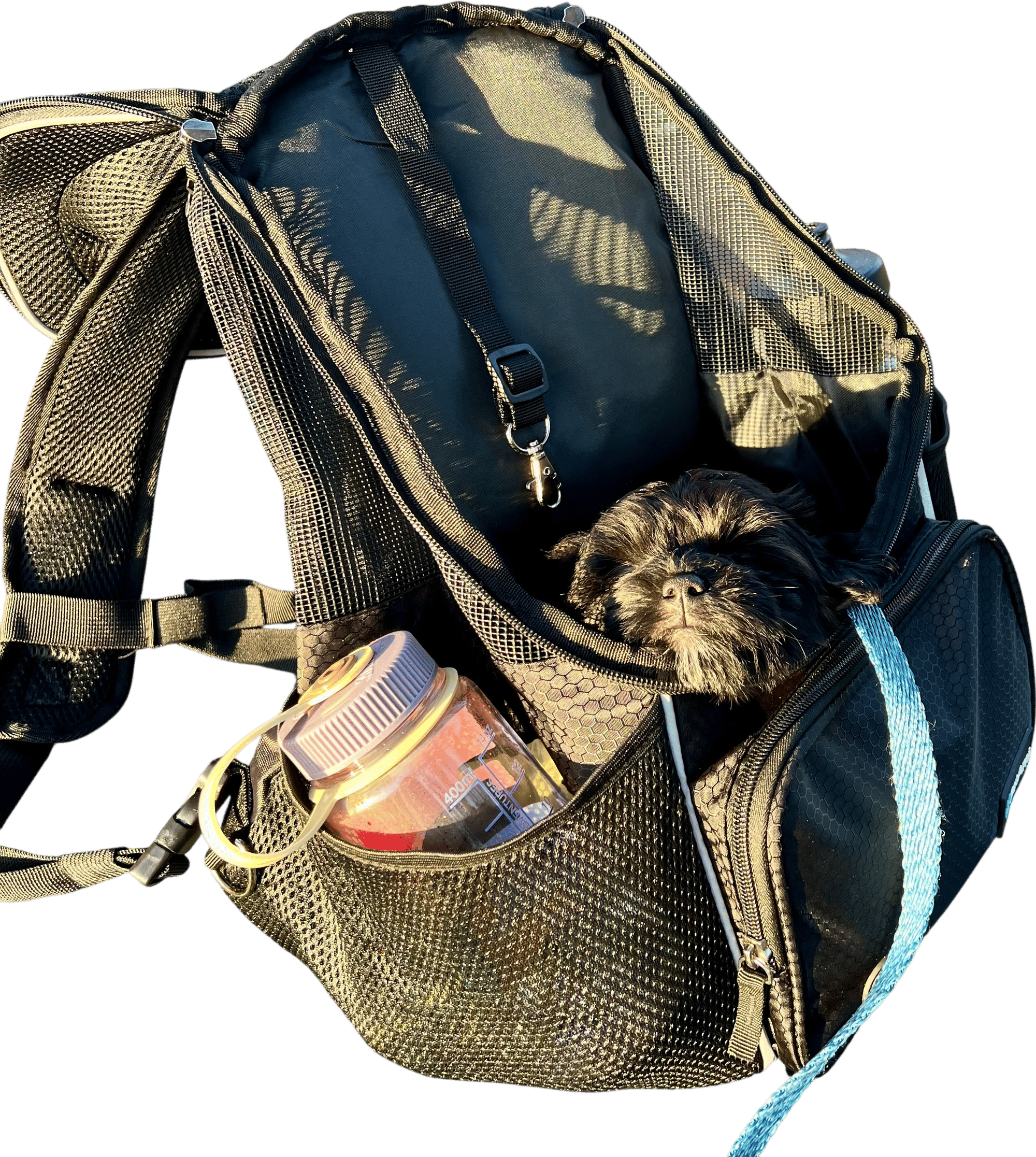 a bag for your dog