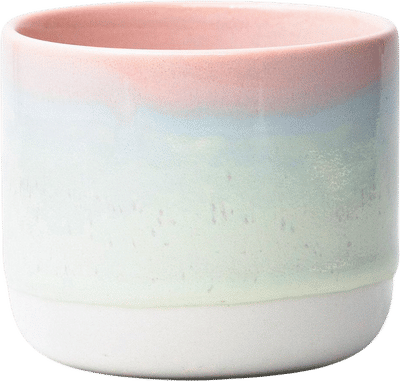 Sip Cup