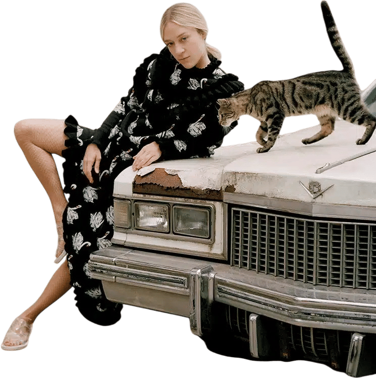 Chloe Sevigny