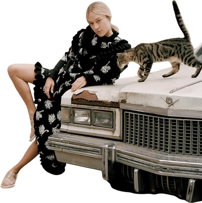 Chloë Sevigny: Say It Loud
