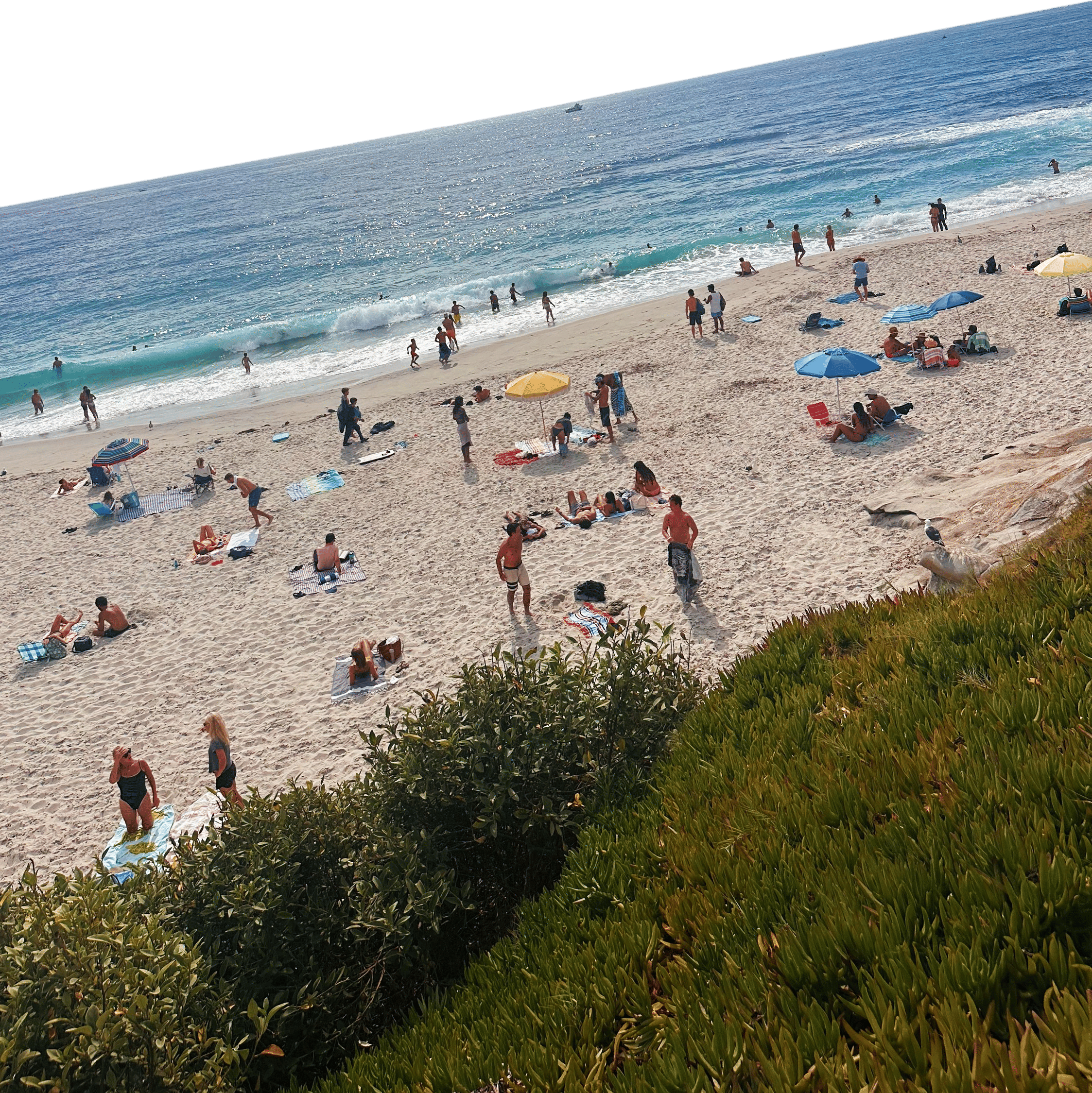 Life's a Beach! 