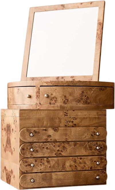 Emma Chamberlain Burl Jewelry Box