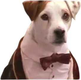 Wishbone: Bark to the Future
