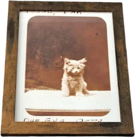 "One Eyed Pete" Photograph 8.5" x 11"