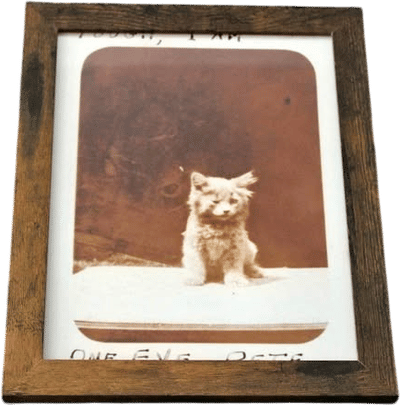 "One Eyed Pete" Photograph