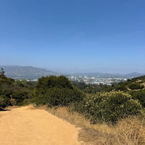 los angeles
