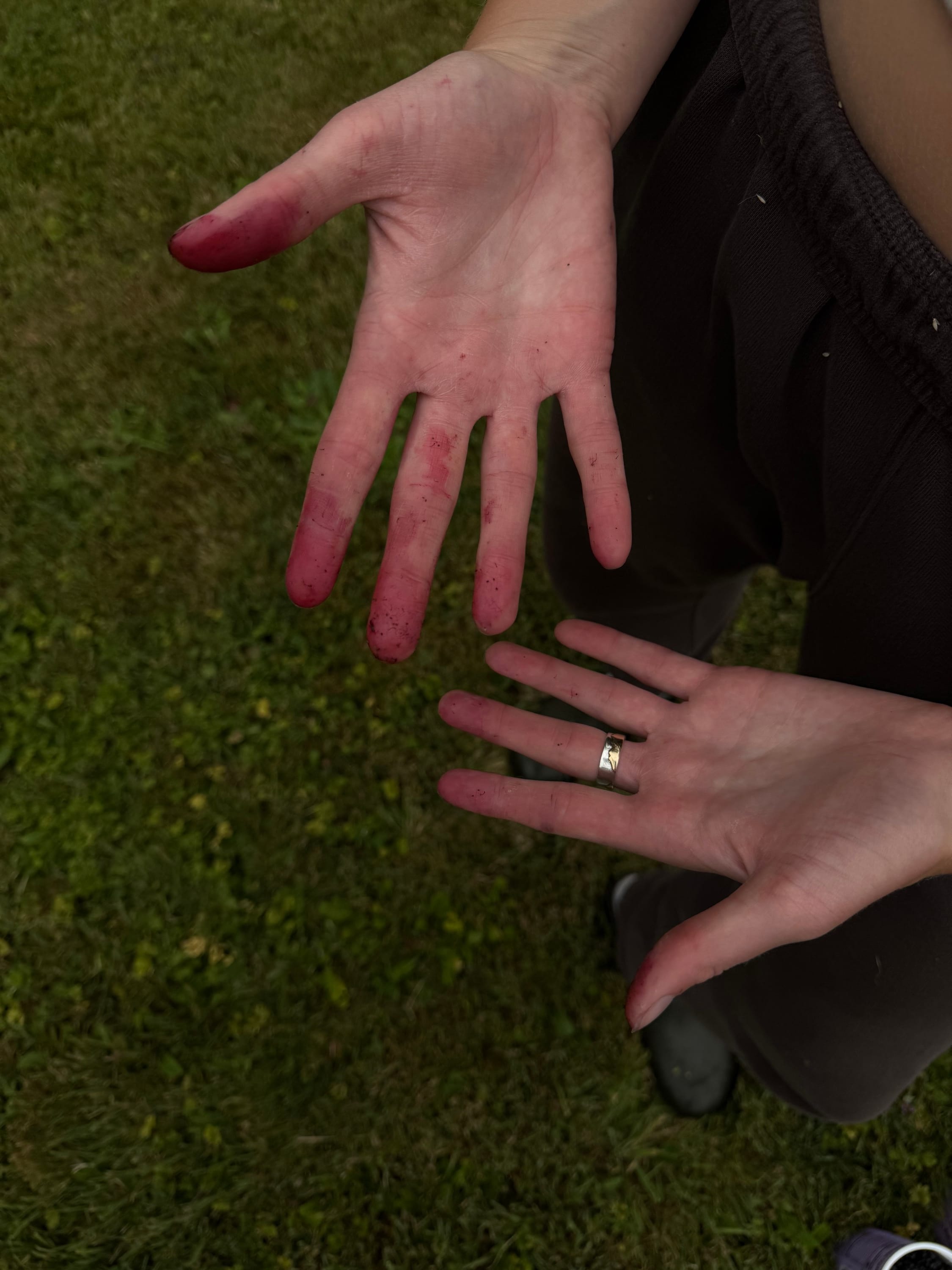 picking blackberries until your fingers are stained purple