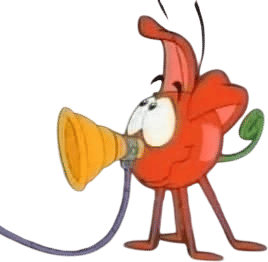 “bonkers”