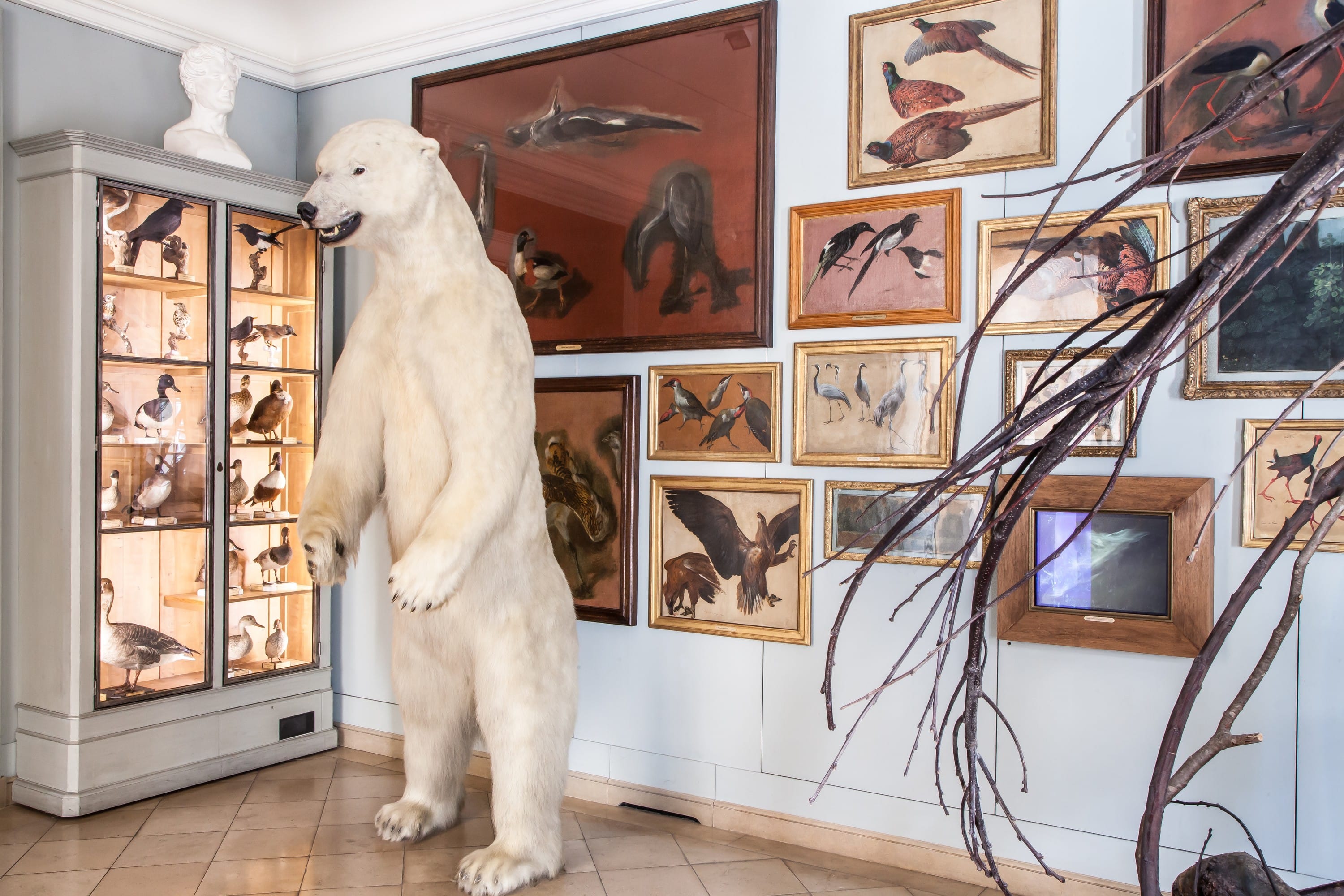 Le Musée de la Chasse et la Nature