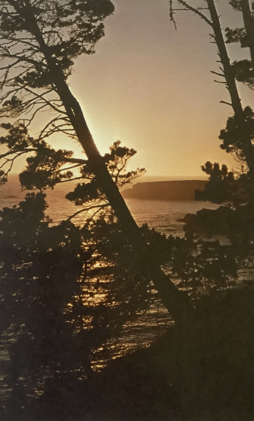visit — mendocino ♡ sonoma