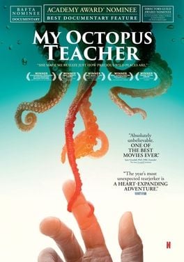 the documentary My Octopus Teacher