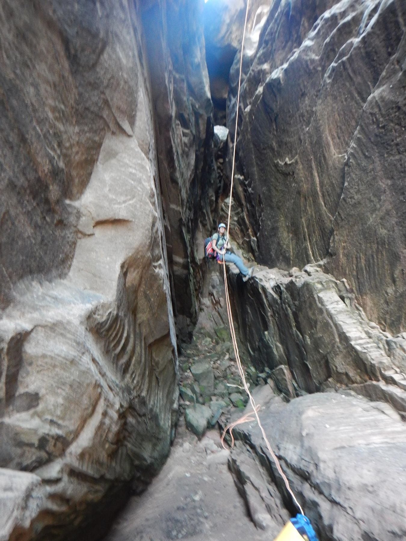 Zion National Park?