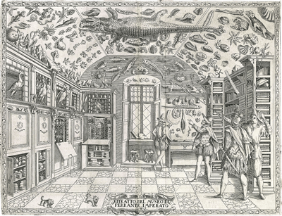 Thoughts on 16th Century Wunderkammers