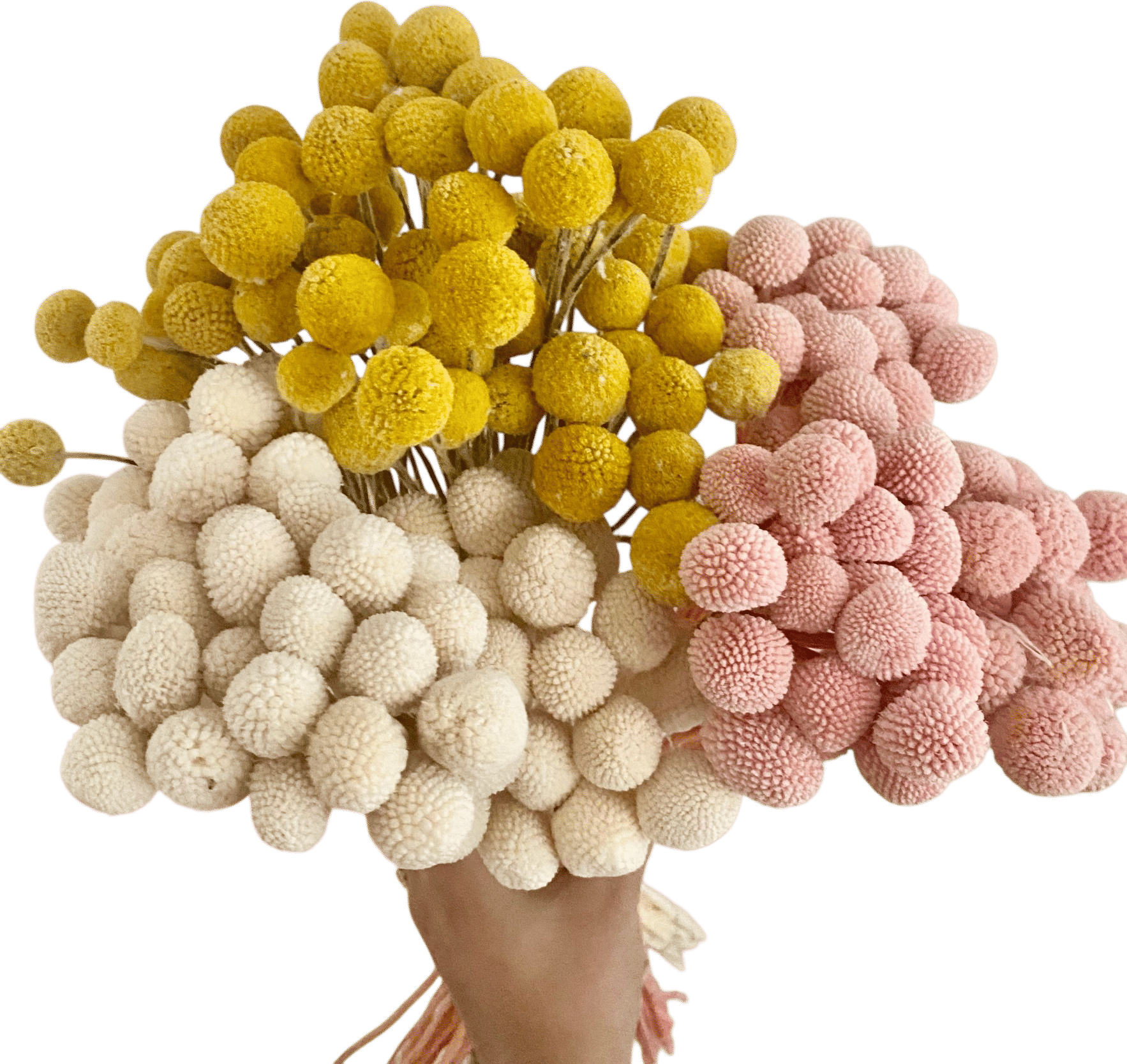 Billy balls