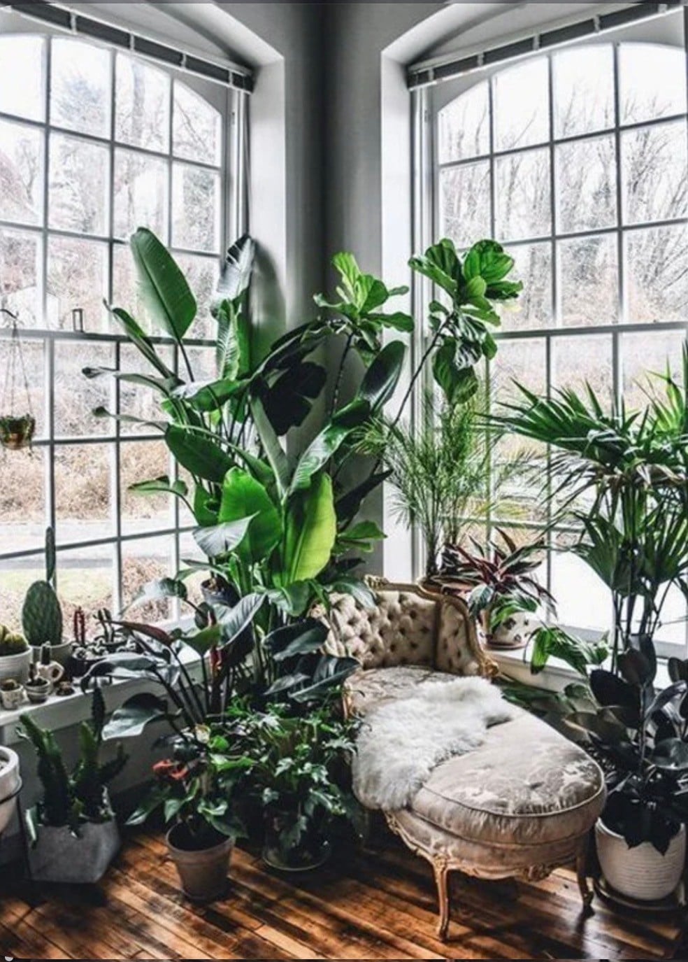 Make your home as anti-winter as possible