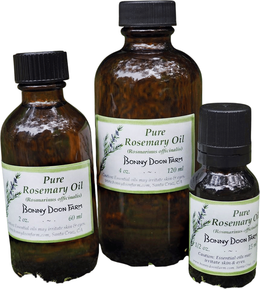 Rosemary Oil
