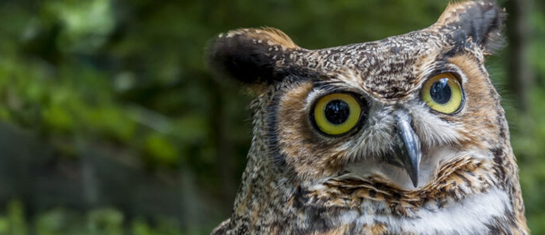 EXPLORE // Denison Pequotsepos Nature Center