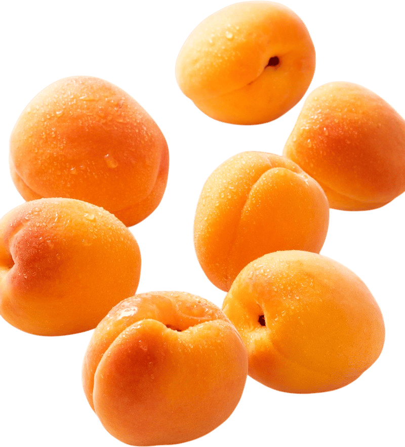 Eating Perfectly Ripe Apricots