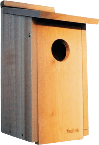 SCREECH OWL BOX