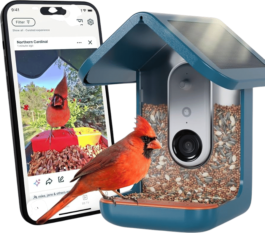 Dads love up-close bird watching