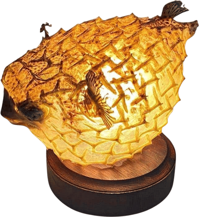 Table Lamp with an Antique Porcupinefish Natural Taxidermy Specimen