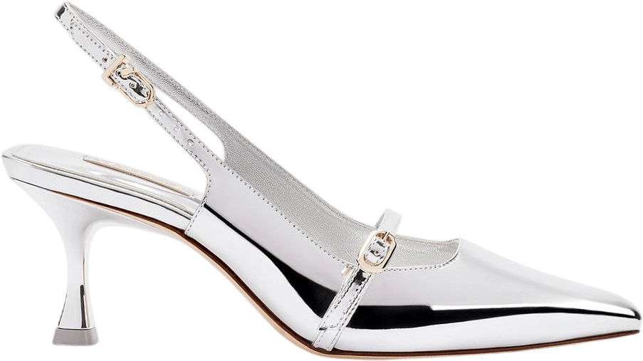 Larroudé Ines Pump In Silver Specchio