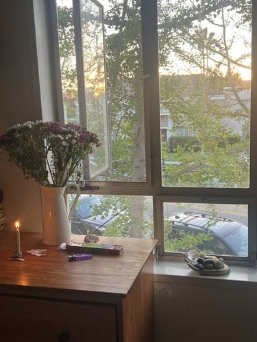 falling asleep with the windows open