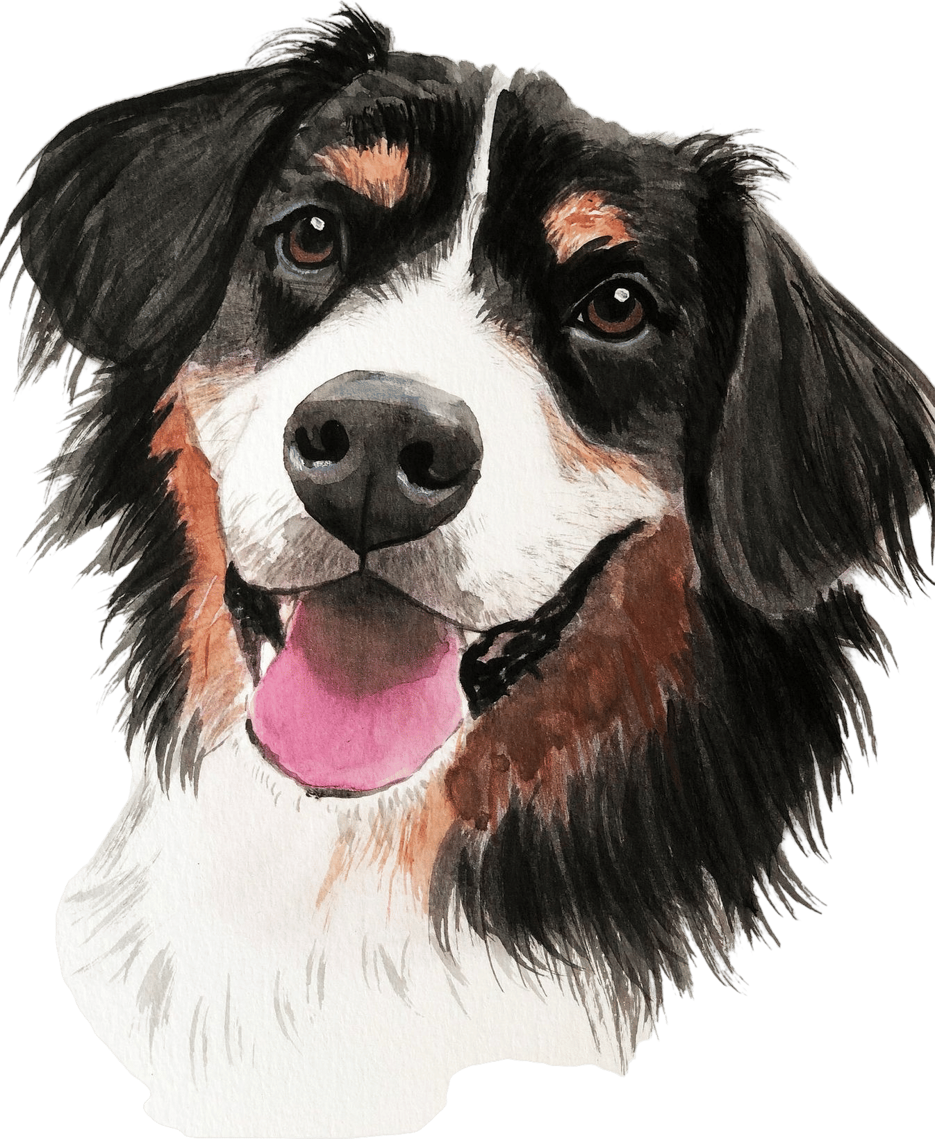 Custom Pet Portrait