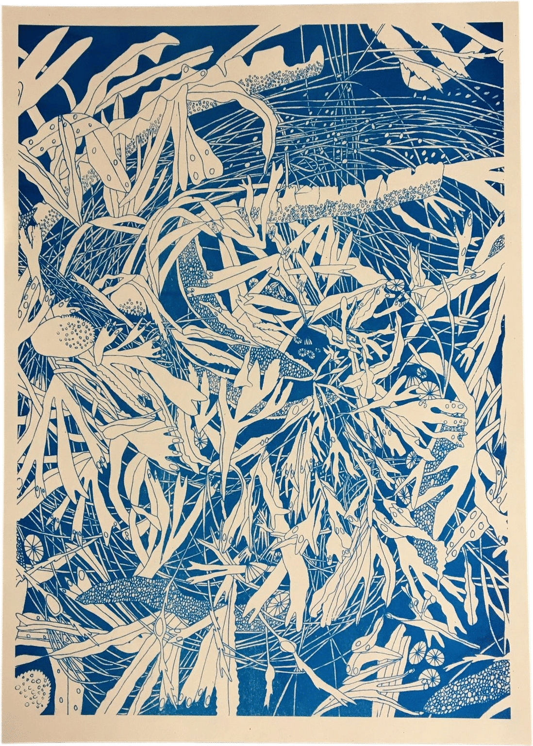 A3 Seaweed Riso Print