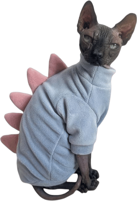 Hairless cat