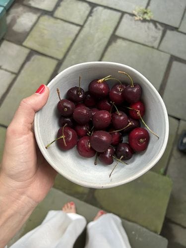 Make A Cherry Pie In June-July
