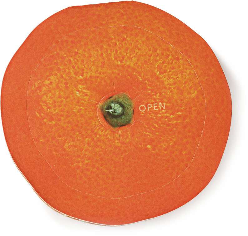 Faux Clementine Message Cards (Pack of 3)