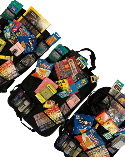 Car Backseat Organizer