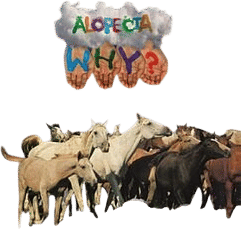 Alopecia by Why? (2008)