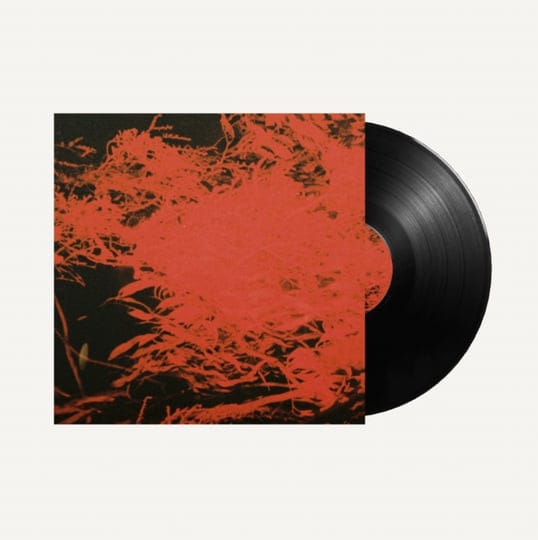 anthony naples - in studio magic