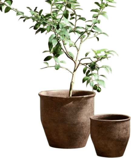 Antique Terracotta Planters