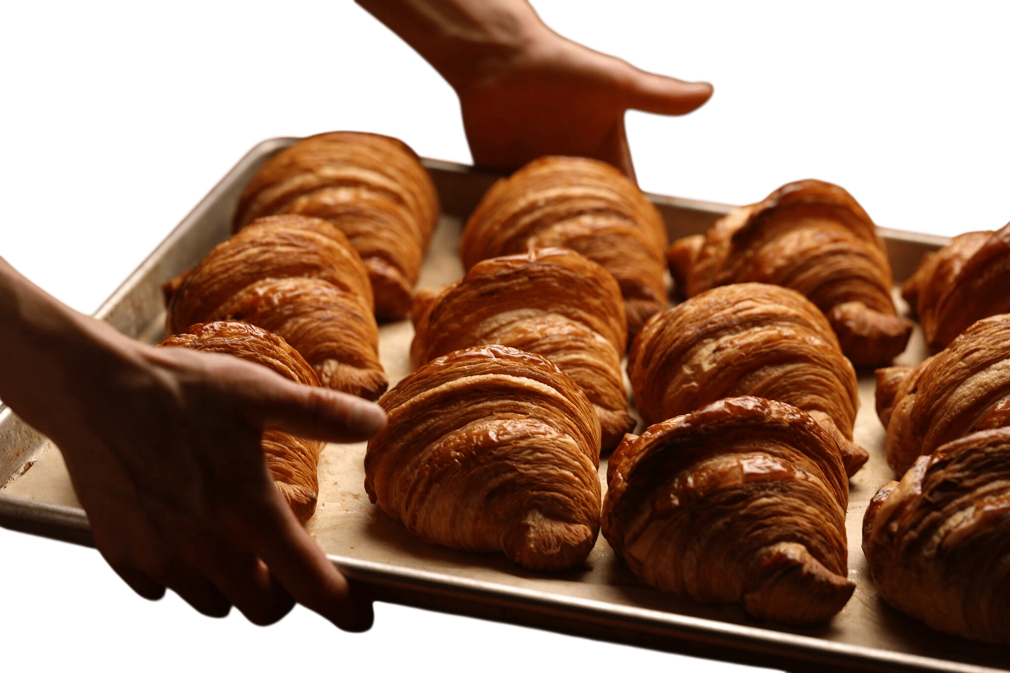 Black Walnut Bakery