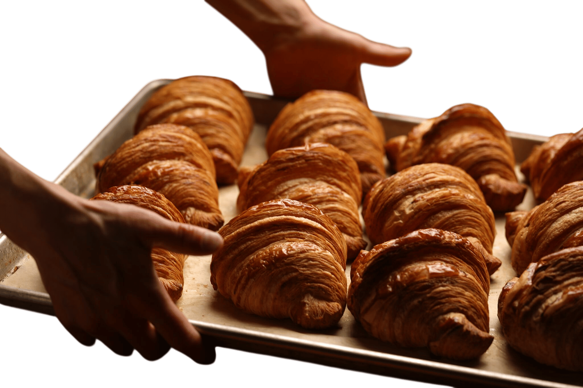 Black Walnut Bakery
